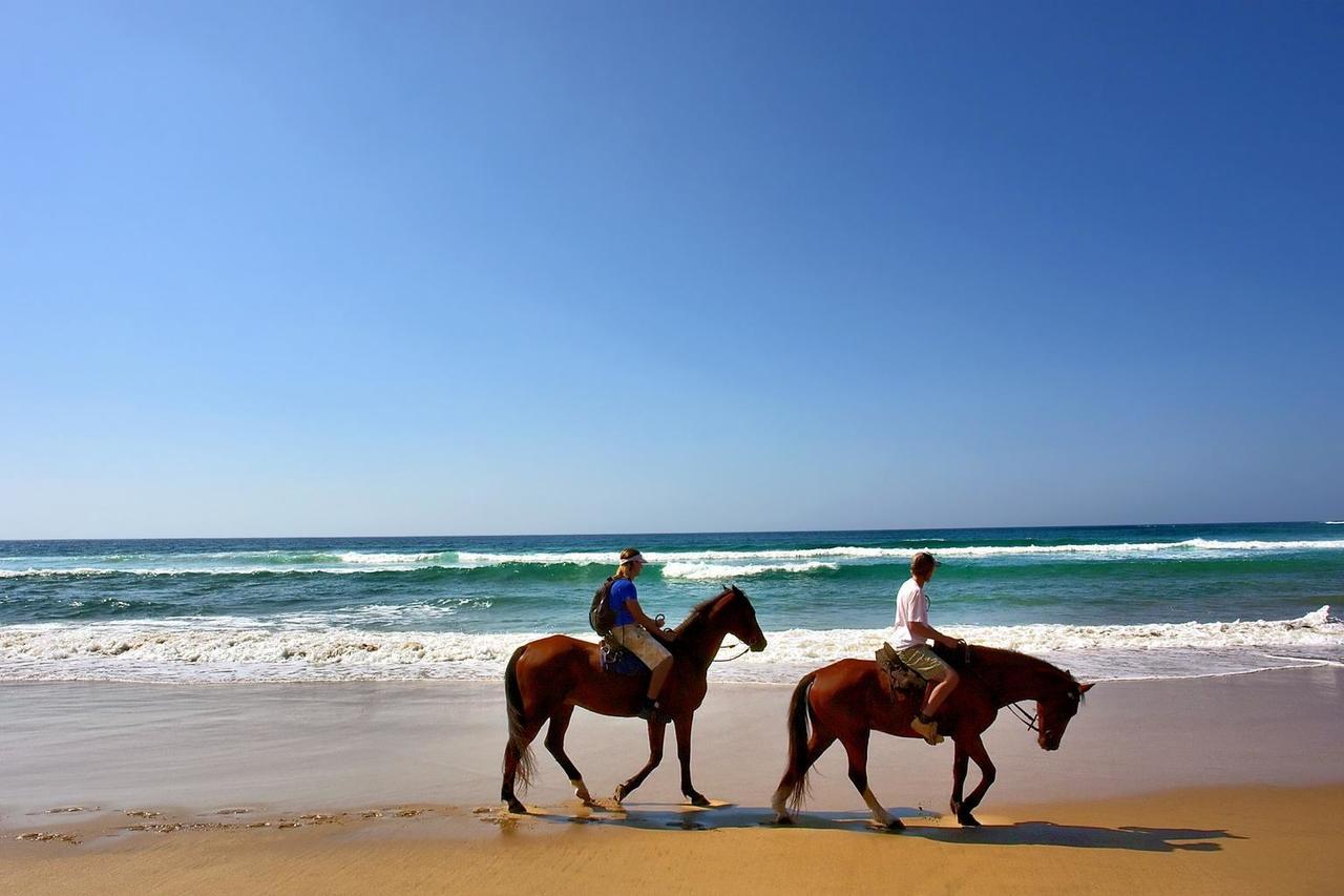 Hotel Oasis & Surf Camp Санта-Каталина Экстерьер фото